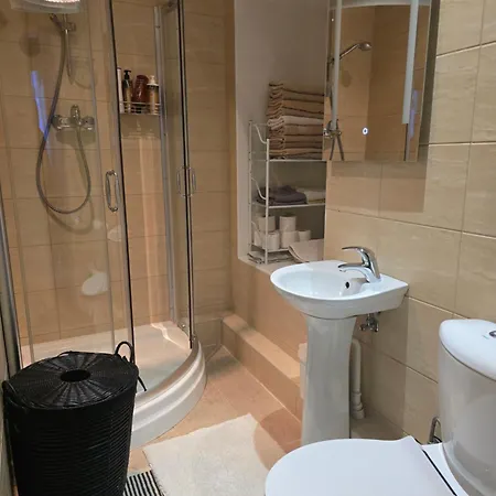 公寓 Kuninga In Old Town With Free Parking 派尔努